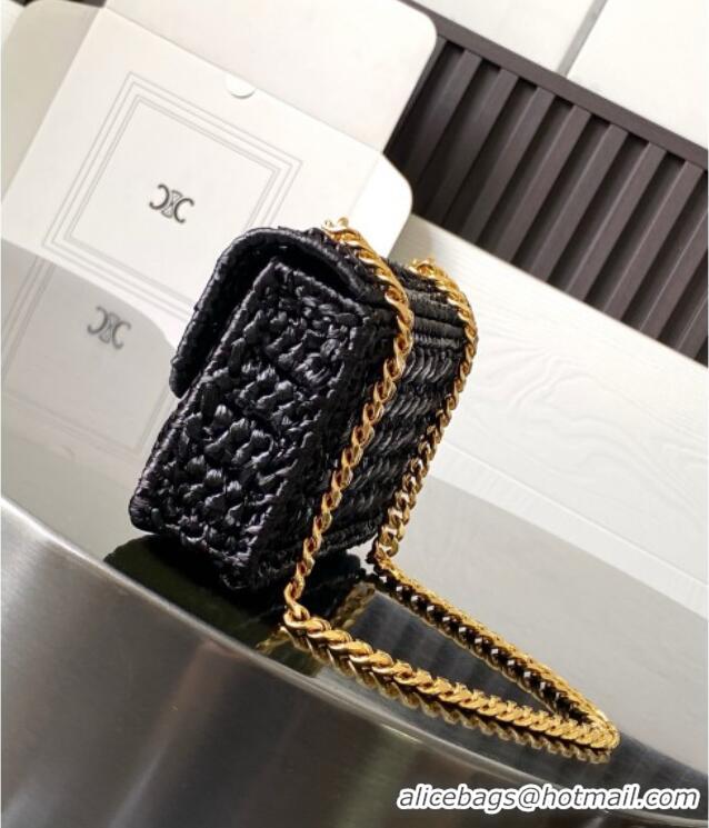 New Design Celine Chain Shoulder Bag in Raffia and Calfskin 199162 Black 2025