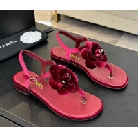 Shop Duplicate Chanel Velvet Flat Thong Sandals with Camellia Bloom Burgundy 2025 G45928